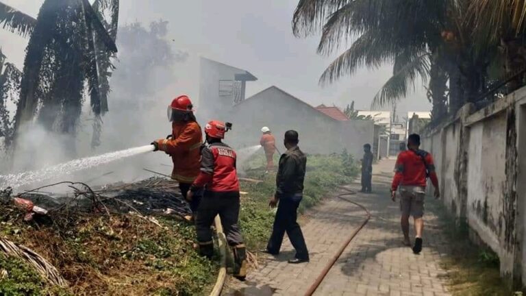 Lahan Semak Terbakar Api Nyaris Menyambar Rumah Warga Probolinggo