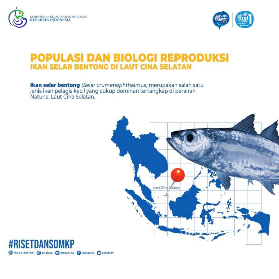 7000 Reproduksi Ikan Air Laut HD Terbaik